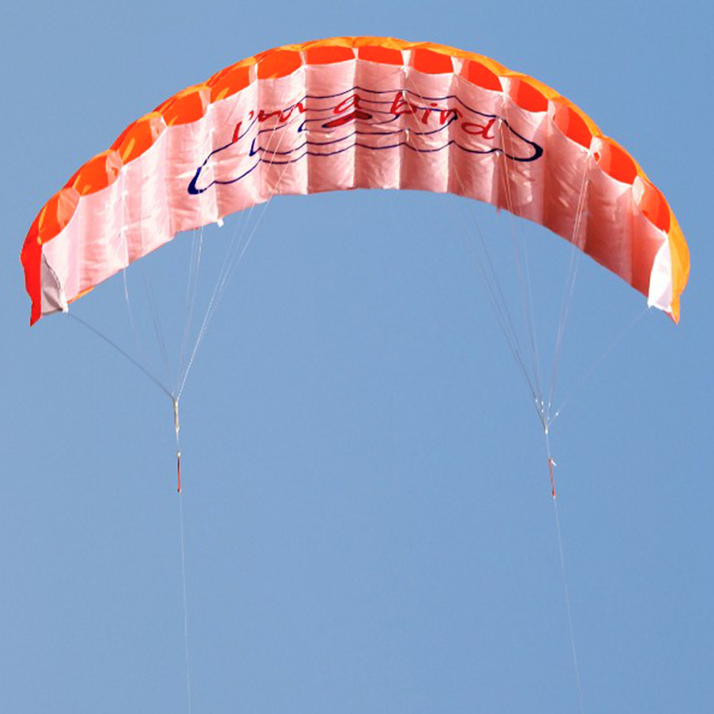 Parafoil a Doppia Linea per Ac - Kite Surf Bar Control recensione e prezzo